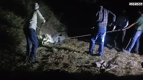 Rescue of Crocodile Morena