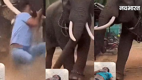 kashi viral video