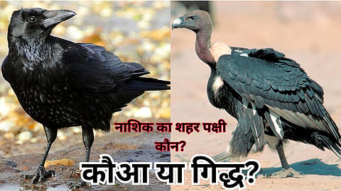 Nashik Bird Conservation Biodiversity Online Voting