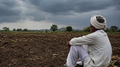Chandrapur Drought Crop Damage 3.5 Lakh Hectare