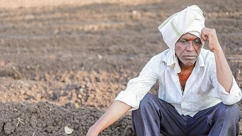 wardha crop damage farmers 206 crore aid demand
