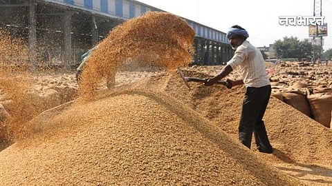 Chhattisgarh Paddy Procurement,