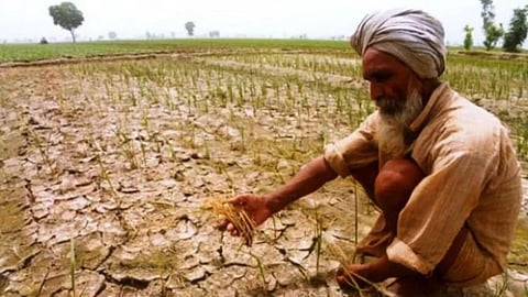 Sambhajinagar Rehana Chishti Congress Marathwada drought Compensation Demand