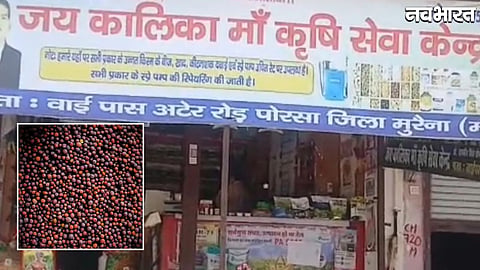 Fake Mustard Seeds Sold In Morena Using Counterfeit Packaging