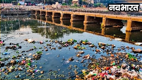 Ecological balance disrupted by pollution in the Mula-Mutha River
