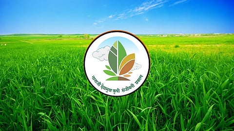 yavatmal mahagaon pokhara yojana farmer applications
