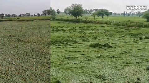 chhattisgarh farmers, chhattisgarh kisan viral virdo,
