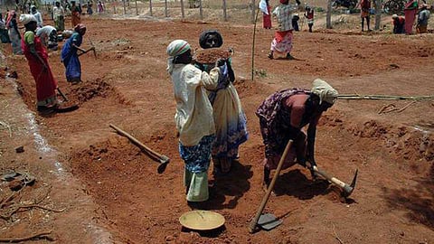 MNREGA