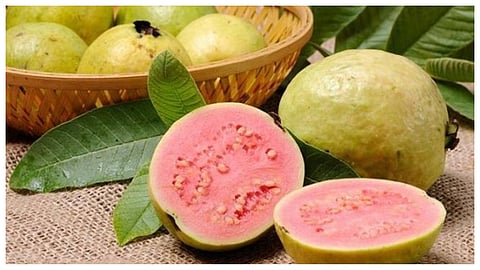 guava