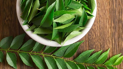 Curry leaves