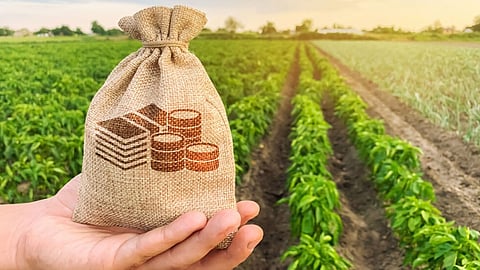 Central government's big gift to farmers, increased MSP on Rabi crops, know how much increased price of which crop