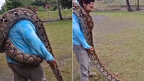 python video
