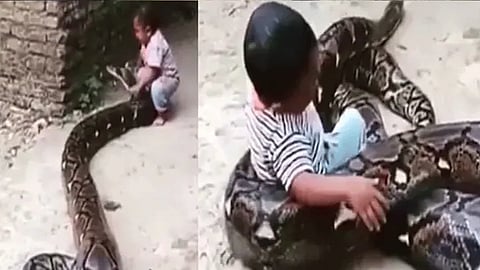 Python-Viral-video