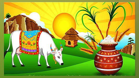 pongal-2024