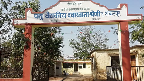 shankarpur