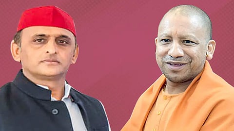 yogi