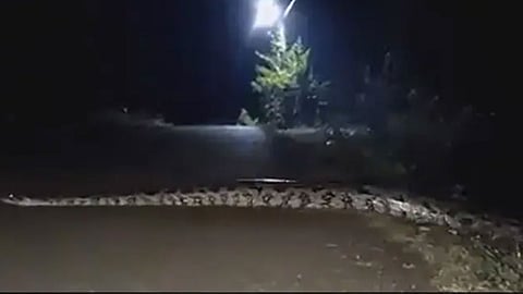 python