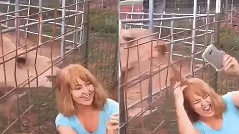 viral-news-of-camel