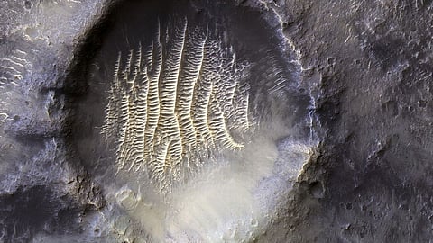 Alien’s-Footprints-Viral-photo