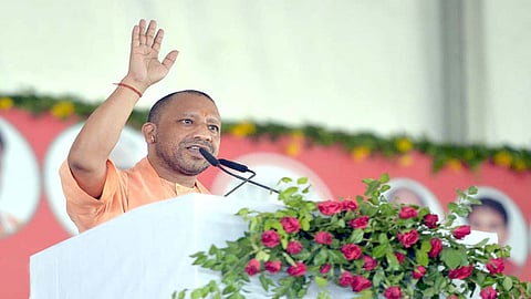 yogi