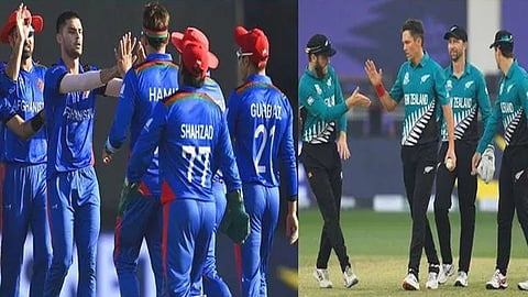 Afghanistan and New zealand