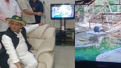 Akhilesh Yadav