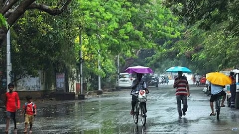 IMD की जानकारी, भारत में दक्षिण पश्चिम मॉनसून के दौरान सामान्य बारिश की संभावना, अल नीनो की बन सकती है स्थिति