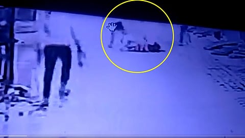 Viral Video Haryana News pitbull dog attack.jpg