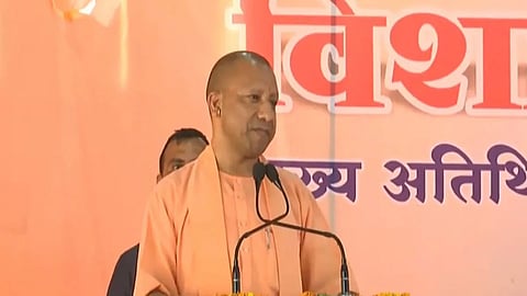 Yogi