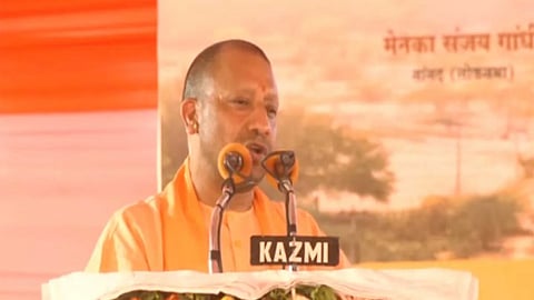 YOGI