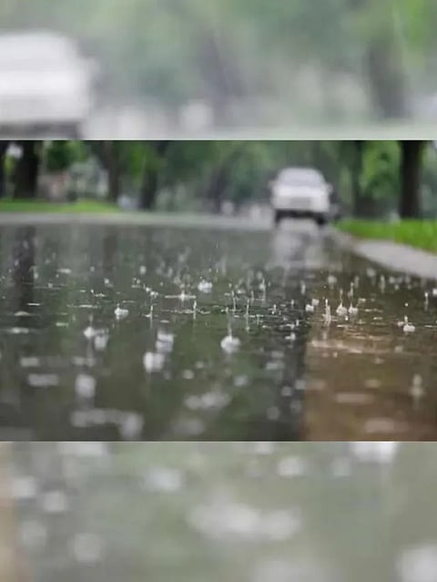 rain