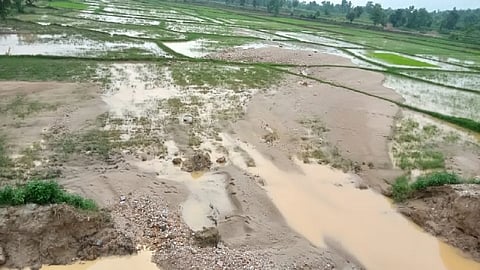 Three acres of agricultural land wasted due to bursting of Dai canal under construction of Gosekhurd