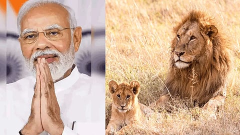 modi
