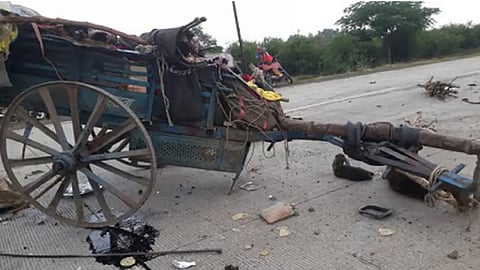 Bullock Cart-Bike Accident