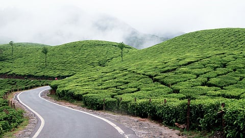Munnar Tourism