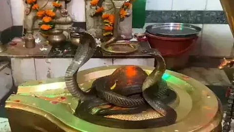 Nag Panchami 2024, Nag Devta