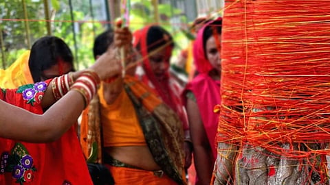 Tying Kalawa in these trees can bring good luck