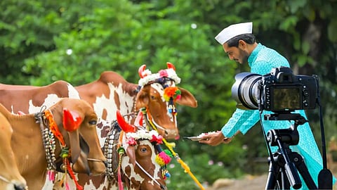 महाराष्ट्र सरकार का ऑफर: फोटो और रील भेजो, इनाम पाओ, जानिए क्या है शर्तें