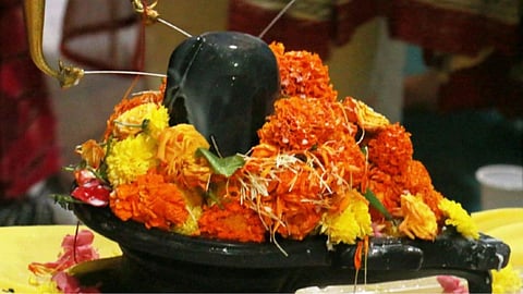 Rudrabhishek on Nag Panchami