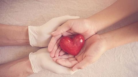 World Organ Donation Day 2024, Health