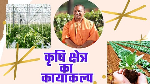 क्लस्टर्स से होगा कृषि क्षेत्र का कायाकल्प, ऐसी है योगी सरकार की प्लानिंग