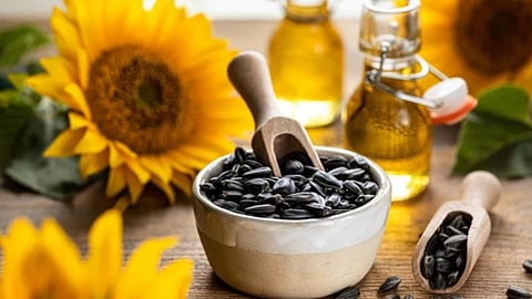 Health Benefits of Sunflower Seeds