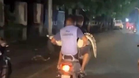 वडोदरा में मगरमच्छ का आतंक
