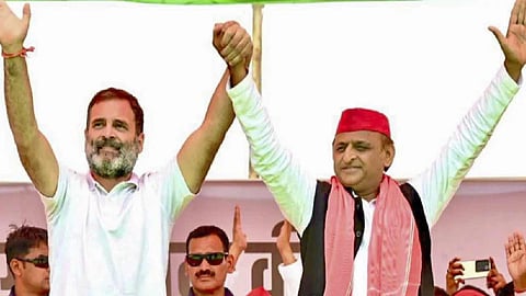 हरियाणा विधानसभा चुनाव में उतरेगी समाजवादी पार्टी?