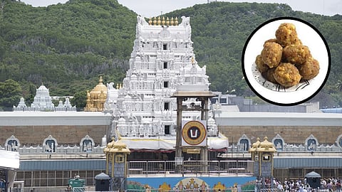 तिरुपति बालाजी मंदिर, लड्डू प्रसादम