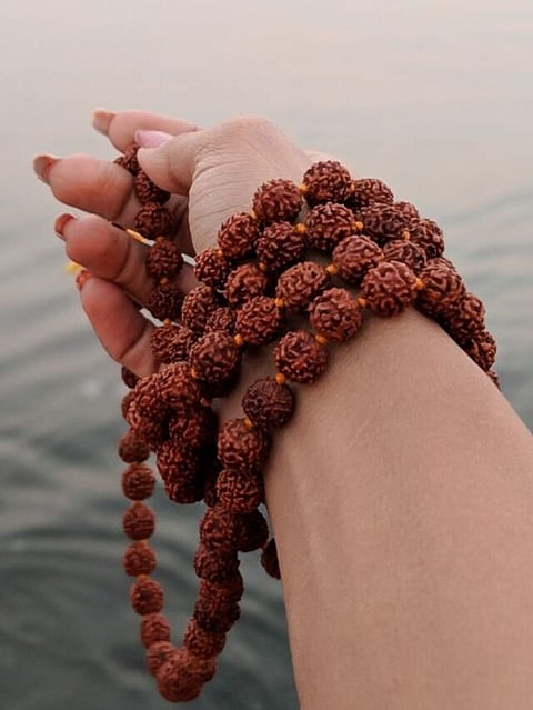 Rudraksha