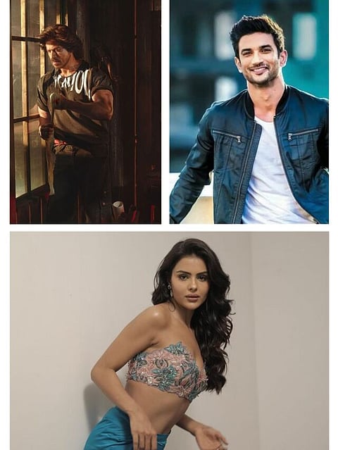bollywood to bollywood actors who own land on moon shahrukh khan priyanka chahar choudhary sushant singh rajput