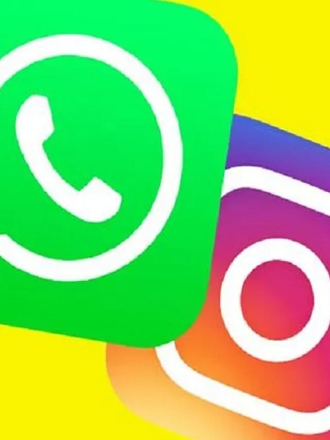 WhatsApp and instgram