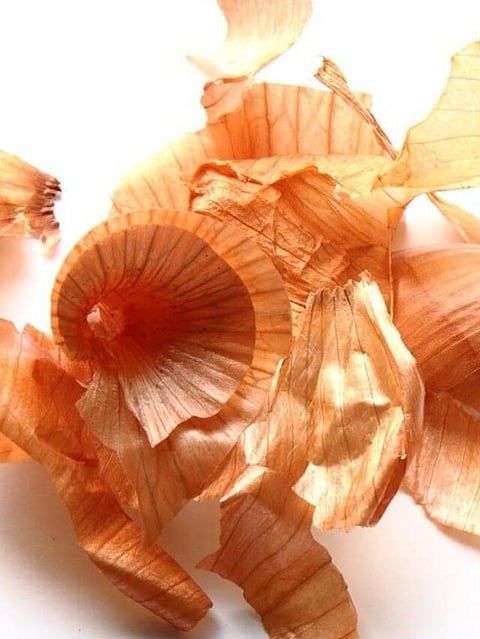 onion (2)