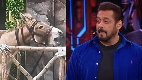 Bigg Boss 18 First Eviction Donkey Evicted From House